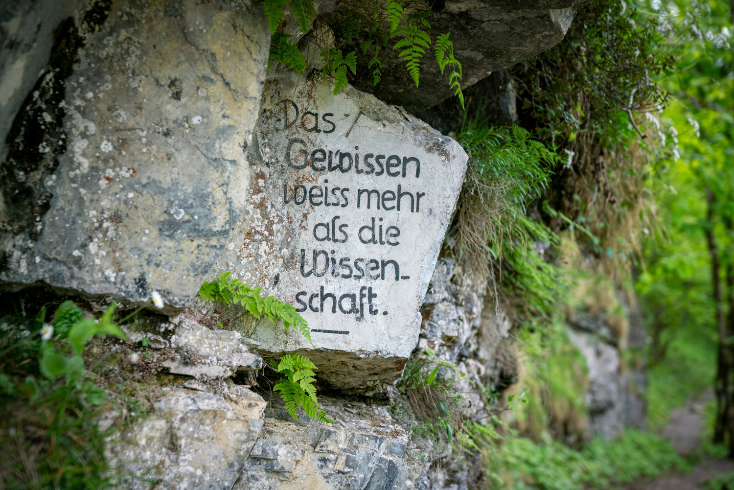 Strukturen & Details